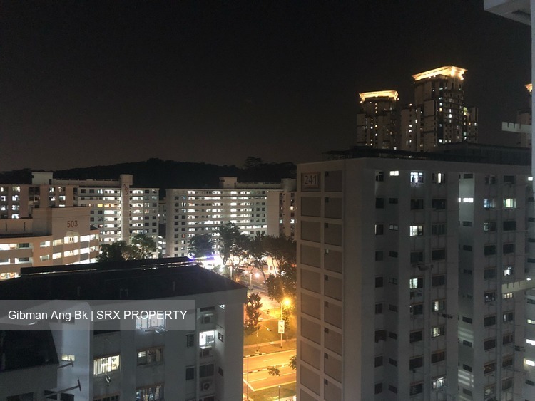 Blk 240 Bukit Batok East Avenue 5 (Bukit Batok), HDB 3 Rooms #180465832